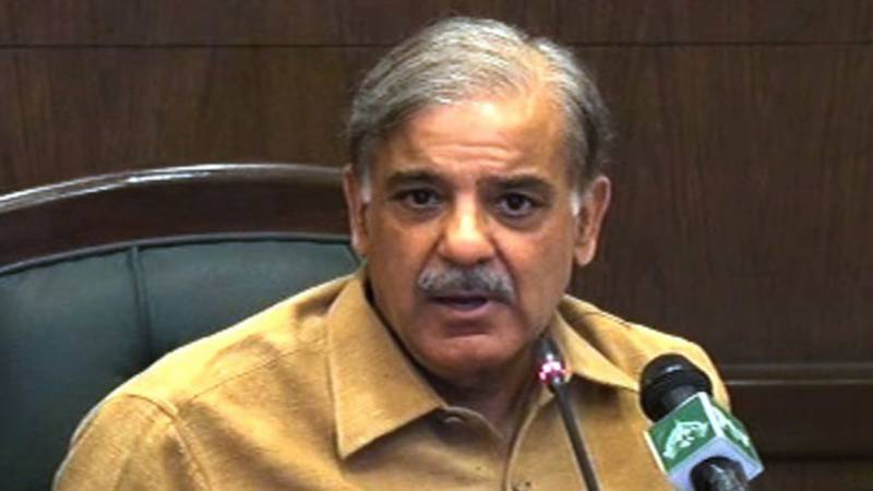 Rana Mashhood issued show-cause notice, says Shehbaz