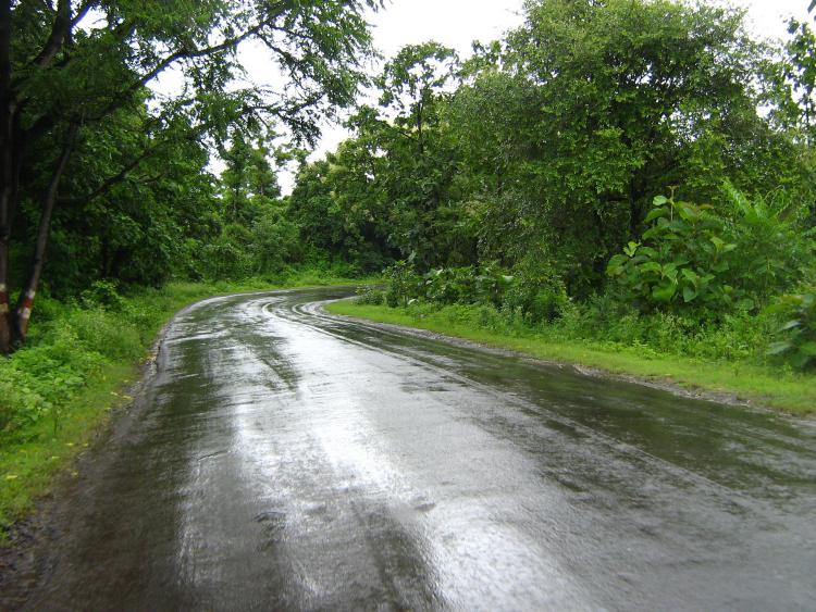 Rain turns weather more chilly in several Punjab cities