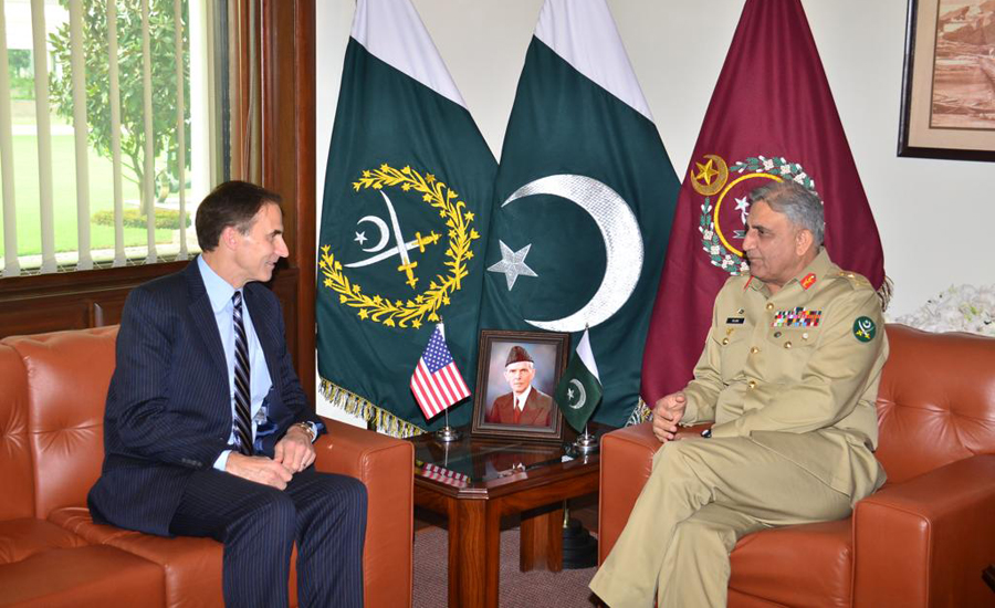 Incoming US Chargé d'Affaires Paul Jones calls on COAS Qamar Bajwa