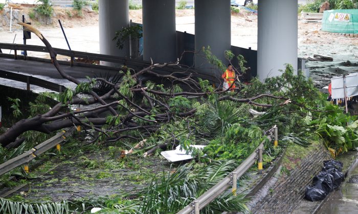 Hong Kong, southern China clean up after super typhoon