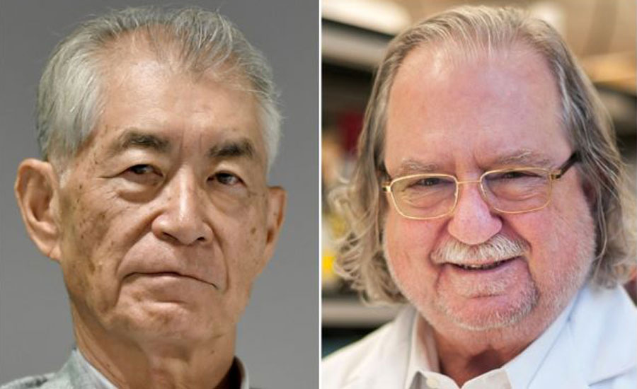 Scientists behind game-changing cancer immunotherapies win Nobel medicine prize