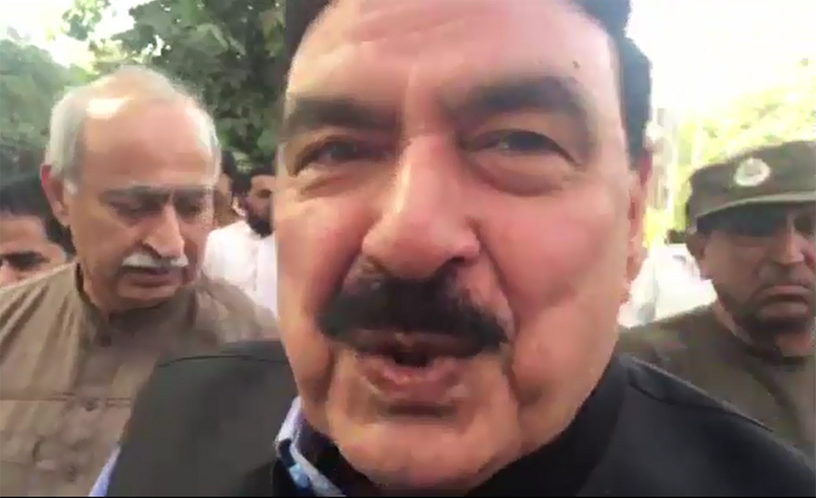 Kh Asif, Shahid Khaqan Abbasi play on both sides of wicket: Sh Rasheed