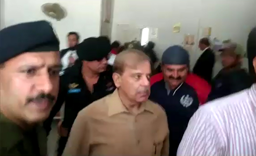 Ashiana Iqbal scam: NAB to file reference against Shehbaz Sharif on Nov 24