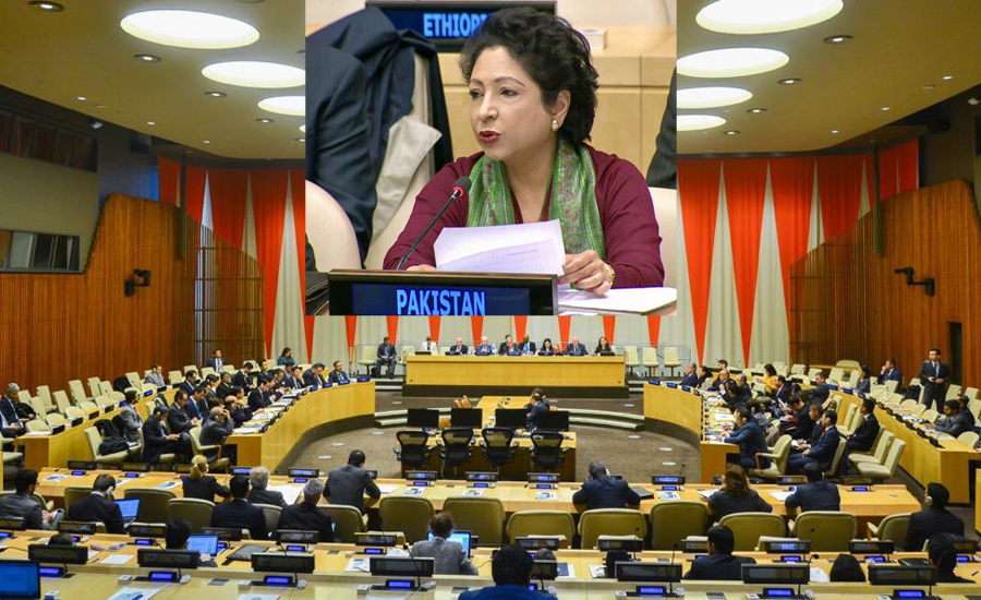 UNGA adopts Pakistan’s resolution on right to self-determination