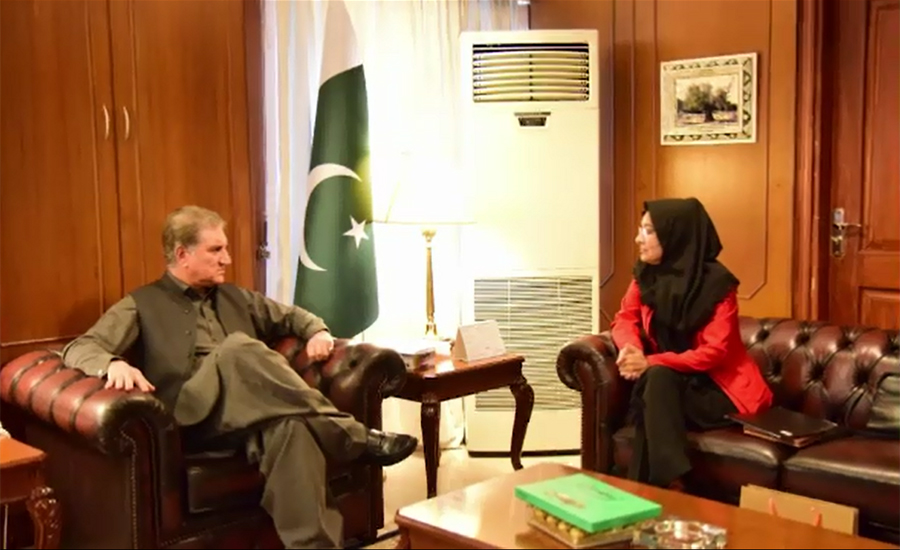 Dr Afia's sister calls on Shah Mehmood Qureshi at FO