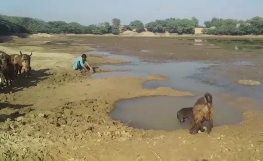 CJP Saqib Nisar takes notice of water crisis in Balochistan’s Bhag Nari tehsil