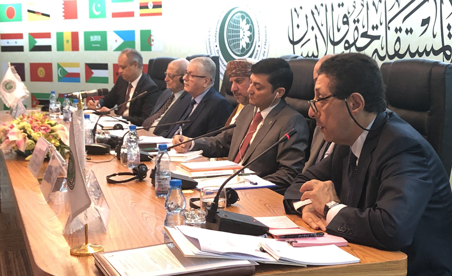 OIC declares Kashmiris’ massacre in IOK a terrorist act