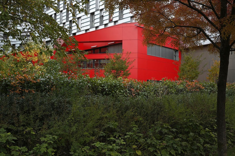 Leafy green neighborhoods tied to better heart health