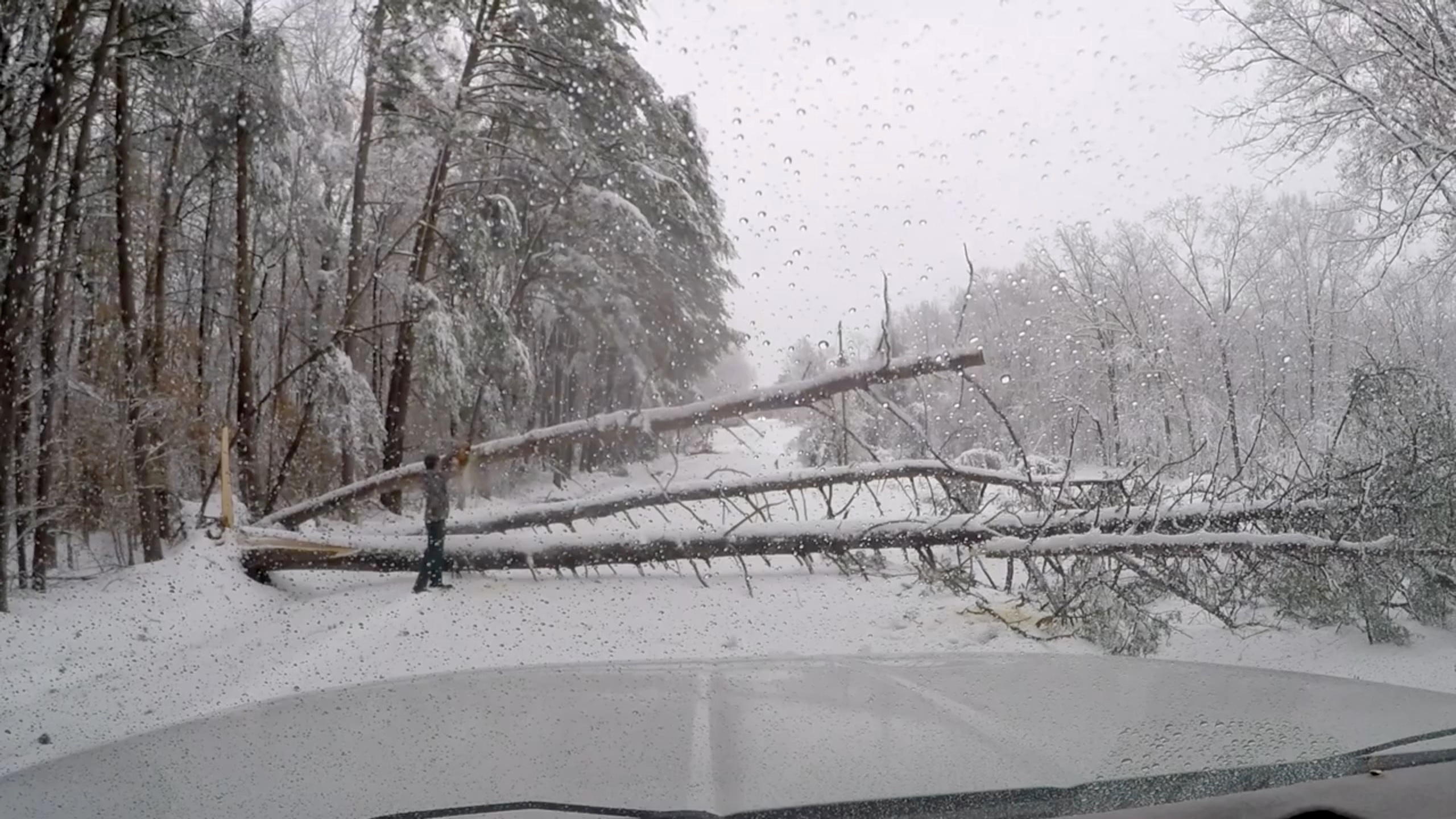 Heavy snow kills three, snarls travel in US Southeast