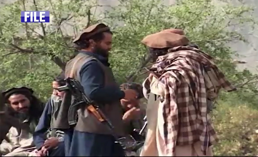 Afghan Taliban conditionally agree to dialogues in Islamabad