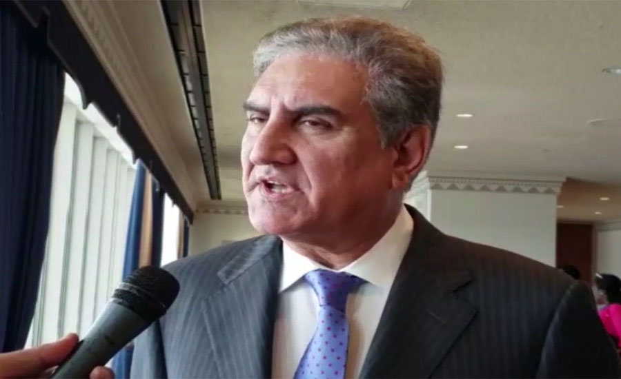 FM Qureshi postpones Japan visit