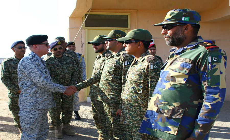 CNS Admiral Zafar Abbasi visits forward posts at coastal & creek area