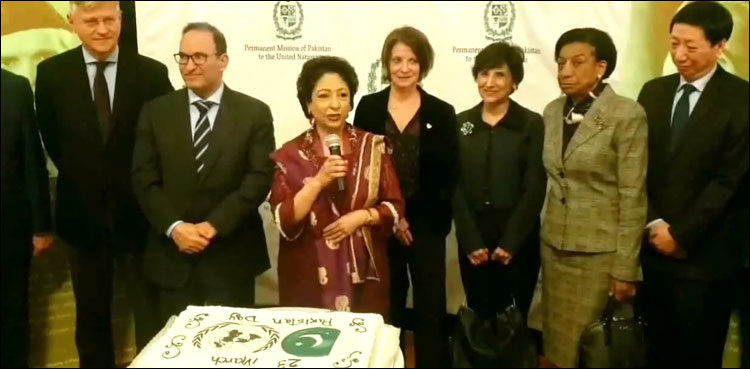 Confident Pakistan looks to bright future, says Maleeha Lodhi