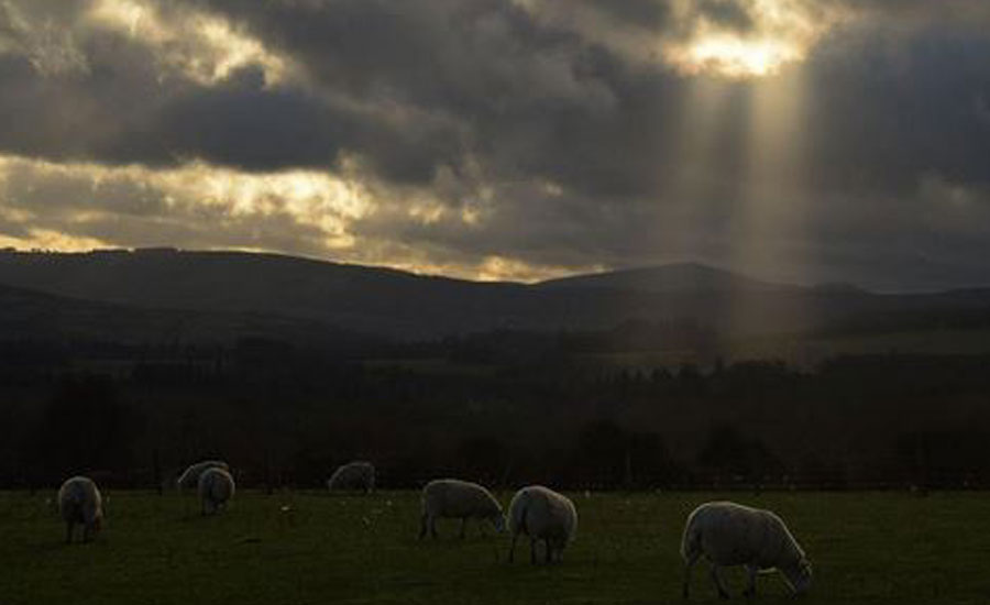 Ireland promises 'substantial' aid to farmers in no-deal Brexit