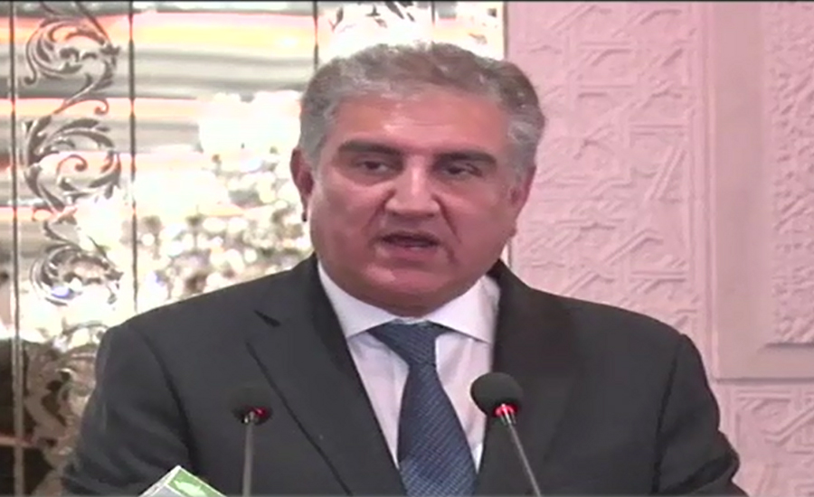 Pakistan wants peaceful solution to Kashmir dispute, says FM Qureshi