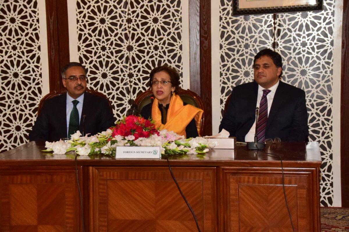 India failed to isolate Pakistan at international level: Tehmina Janjua