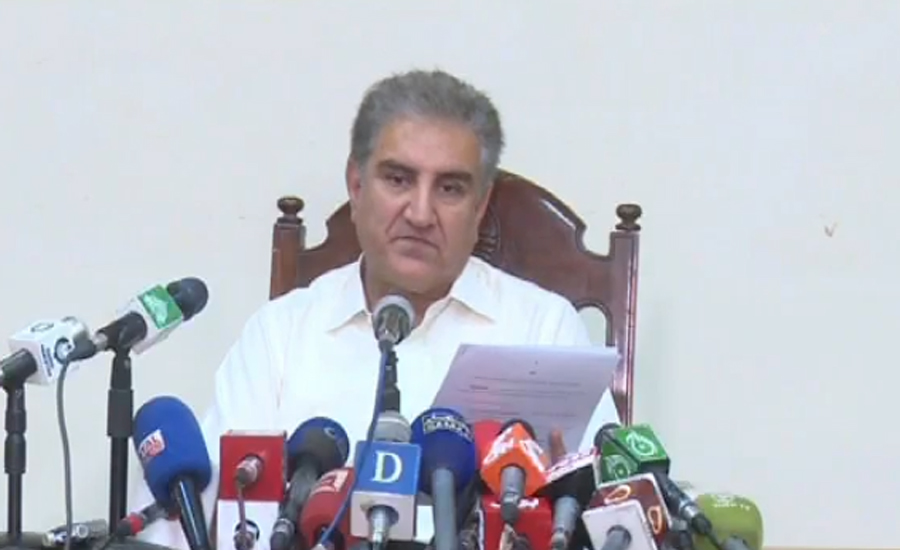 PML-N’s majority is in favor of South Punjab province: FM Qureshi