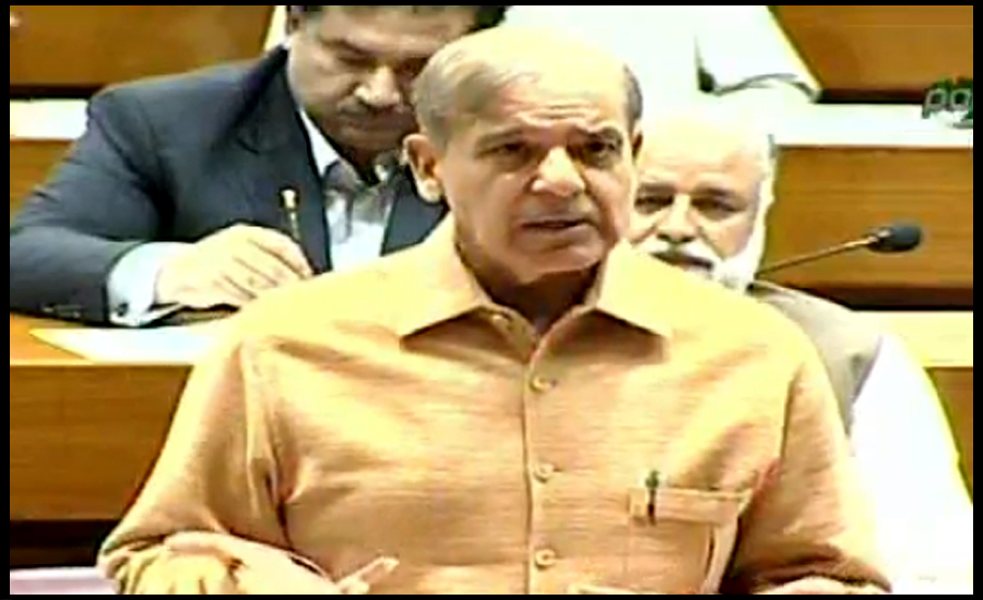 There was no reason for NAB to arrest Zardari: Shehbaz Sharif