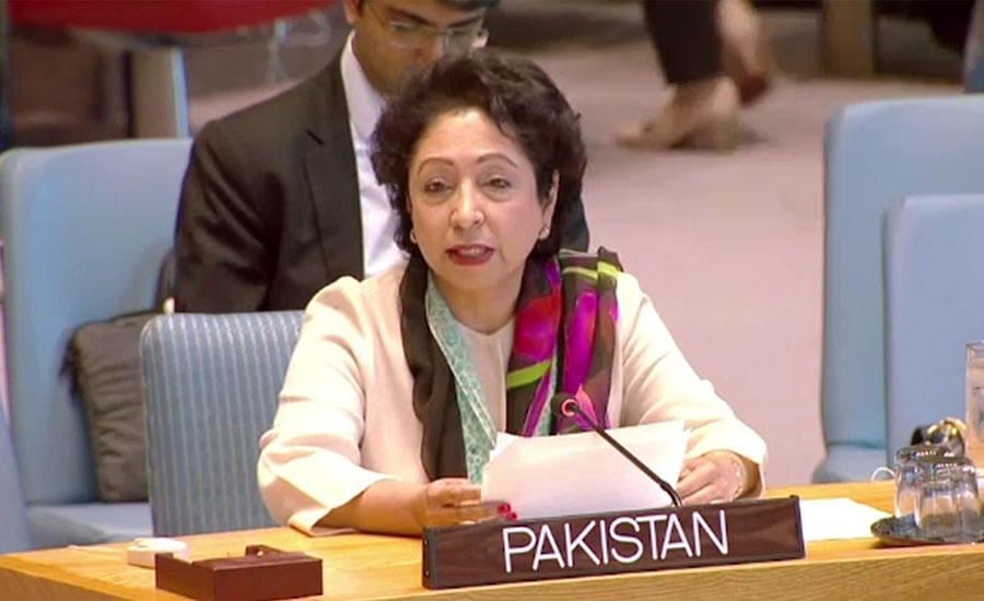 Use of cluster bombs on civilians exposes real face of Indian Army: Maleeha Lodhi