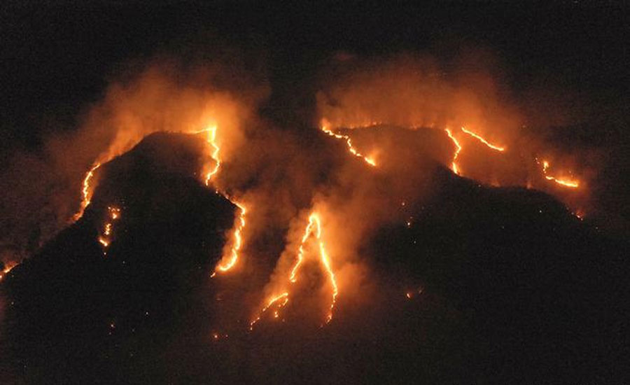 Brazil sends army to tackle horrifying Amazon forest fires