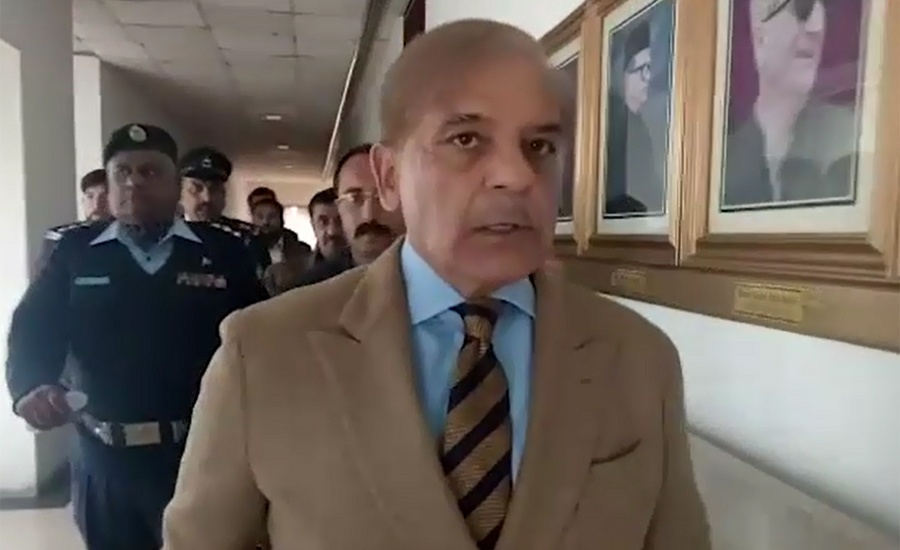 Shehbaz Sharif strongly condemns arrest of Maryam Nawaz