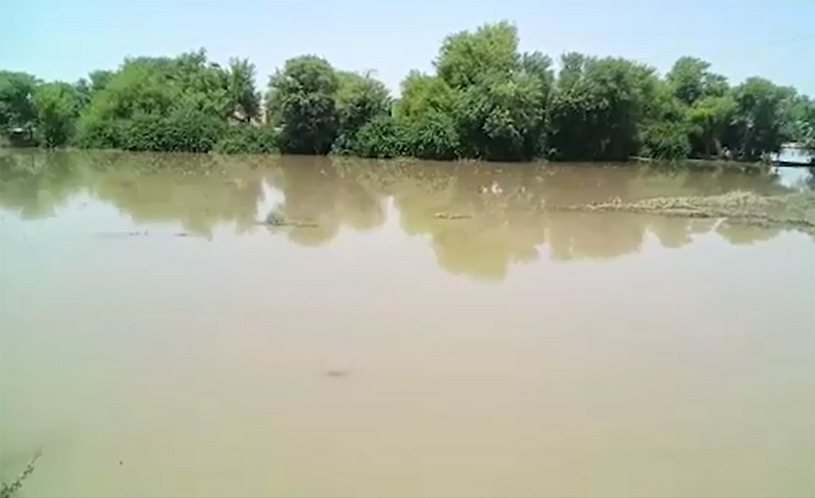 River Sutlej again starts swelling as Chanda Singhwala road link cut off