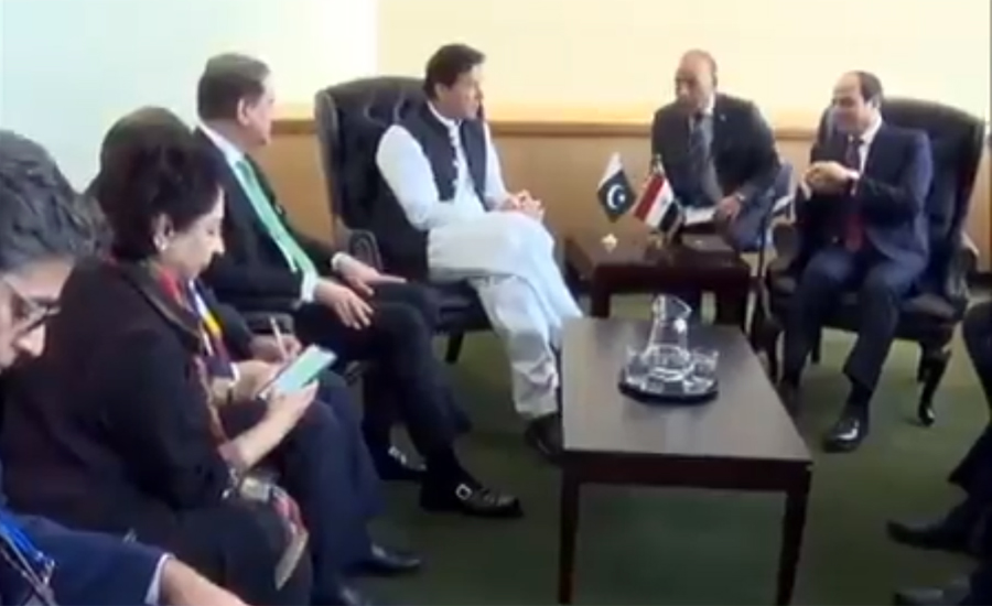 PM Imran Khan apprises Egyptian president of human rights violations in IOK