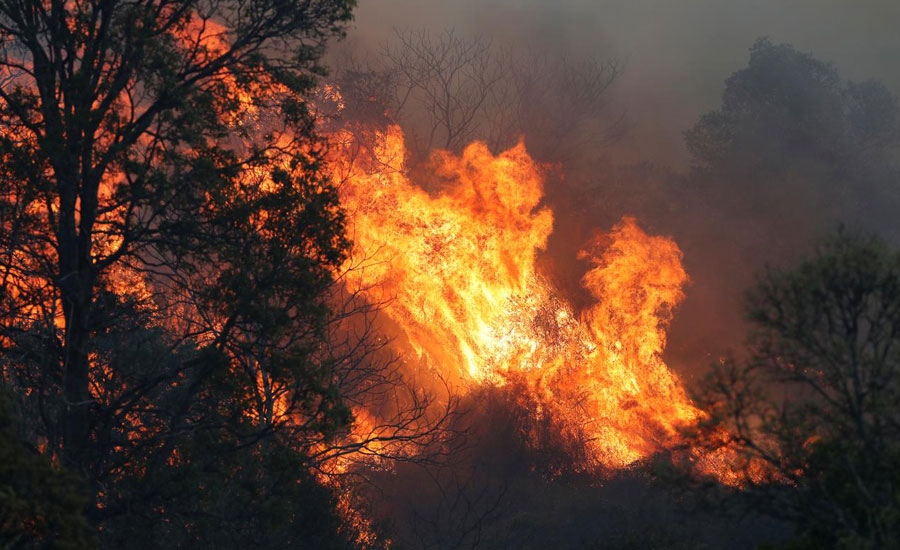 Australia's east coast battles more than 100 bushfires, 21 homes destroyed