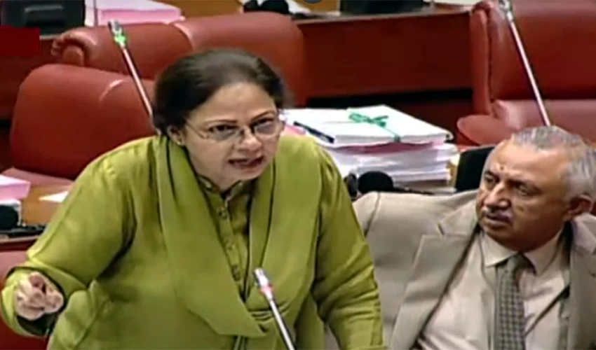 Govt inherited a fragile economy that was on verge of default: Aisha Ghaus