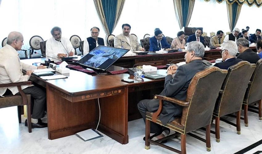 PM directs to ensure delivery of coal imported from Afghanistan to power plants