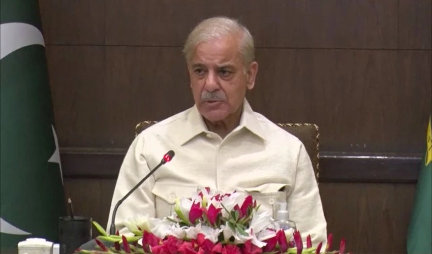 PM Shehbaz Sharif concerned over street crimes surge in Punjab; directs measures for public safety