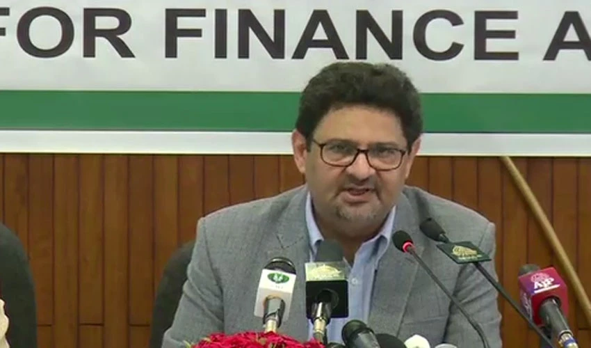 We are not taking money to our homes after increasing petroleum prices: Miftah Ismail