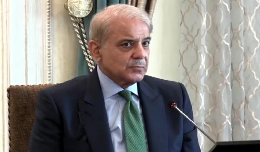 We will head towards Pakistan of Quaid, not Naya Pakistan: PM Shehbaz Sharif