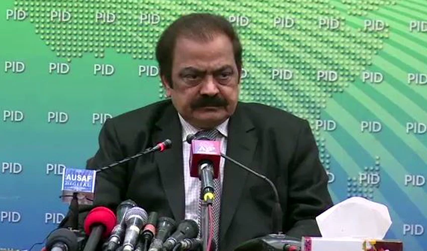 50 PTI MPAs, not five, might not vote for Pervaiz Elahi on voice of conscience: Rana Sanaullah