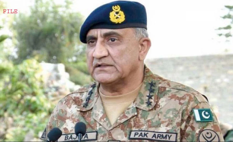 COAS Qamar Bajwa, Poland ambassador discuss matters of mutual interests