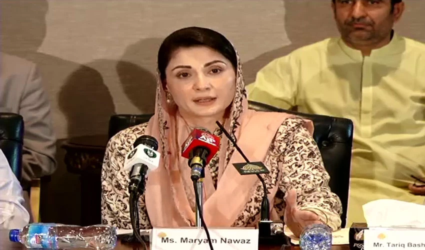 Decisions are made after seeing a party head, says Maryam Nawaz