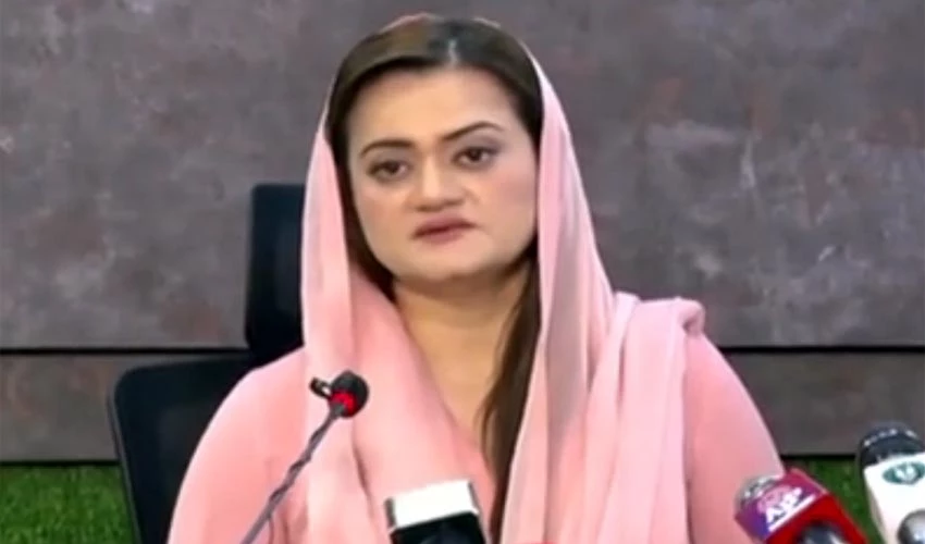 Imran Khan caused destruction during four years, threatened journalists: Marriyum