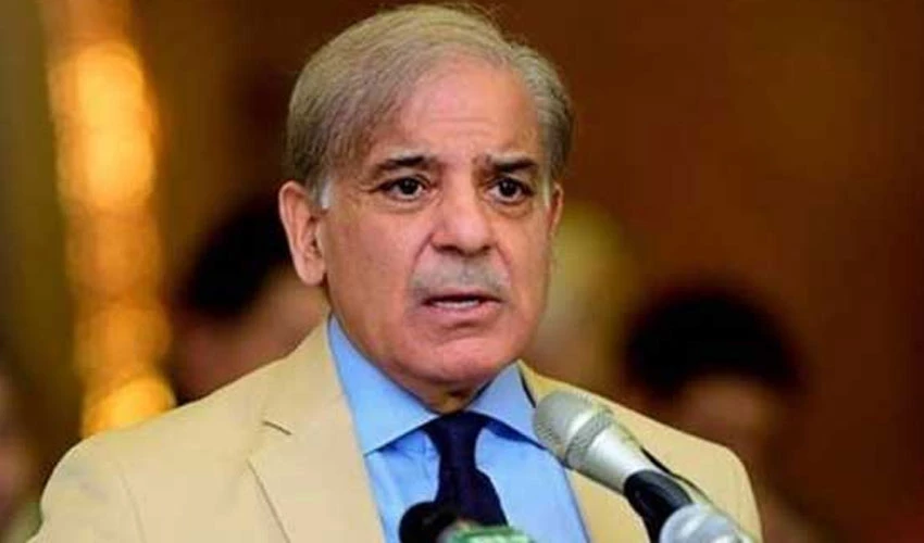 PM Shehbaz Sharif grieved over loss of lives in UAE floods