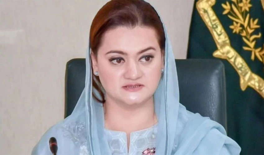 PML-N established bright democratic tradition by ensuring free, fair election: Marriyum