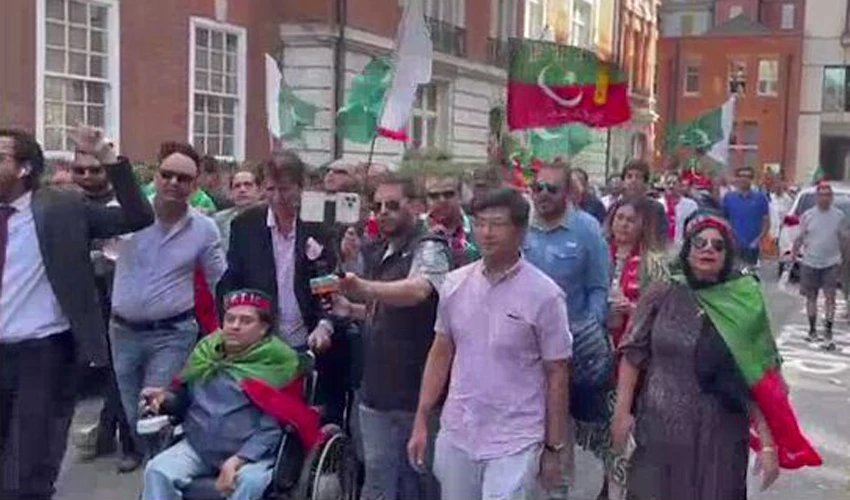 PTI workers stage demo against ruling of PA deputy speaker in London