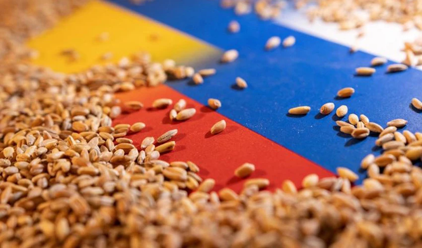 First Ukrainian grain shipment since invasion heads to Istanbul