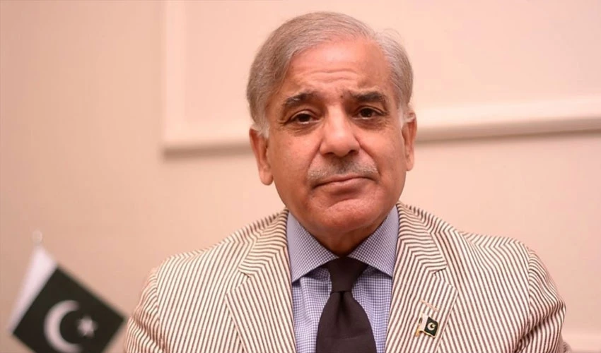 Govt put economic stability at the top, says PM Shehbaz Sharif