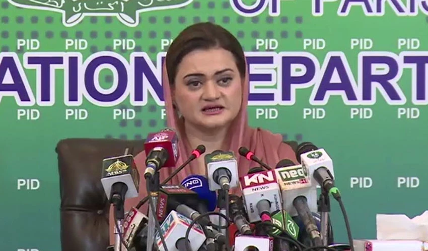 Imposed PM looted country for 4 years, says Marriyum Aurangzeb