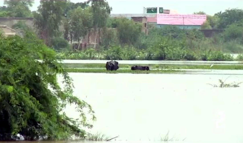 Low-lying areas inundated as rain continues in different cities