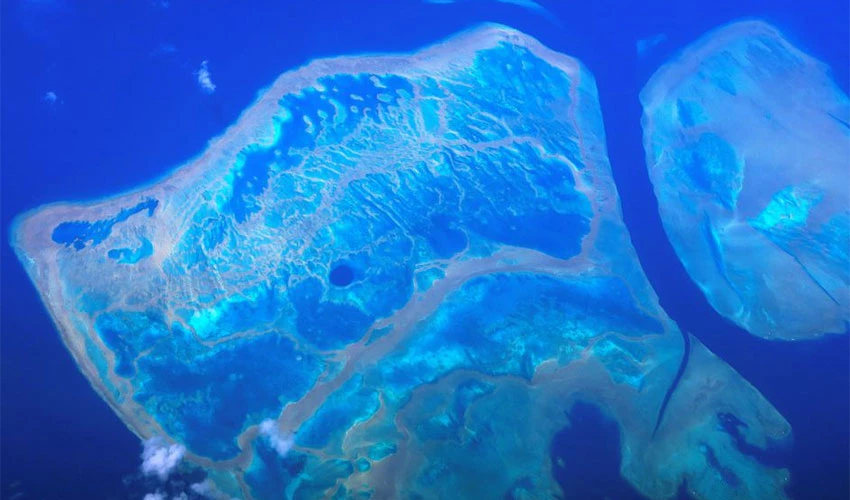 Parts of Australia's Great Barrier Reef show highest coral cover in 36 years