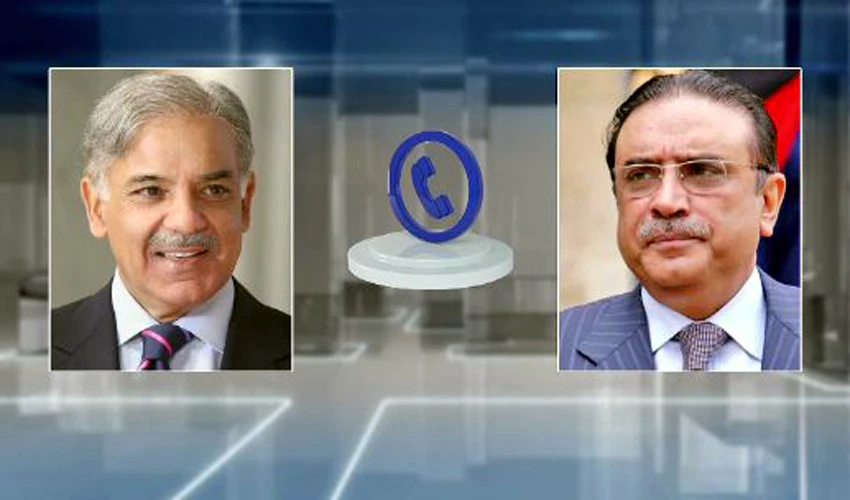 PM Shehbaz Sharif, Asif Zardari discuss important matters