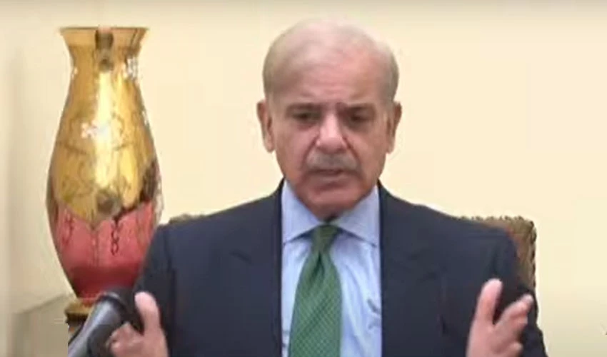 PM Shehbaz Sharif terms ECP verdict a charge-sheet against Imran Niazi