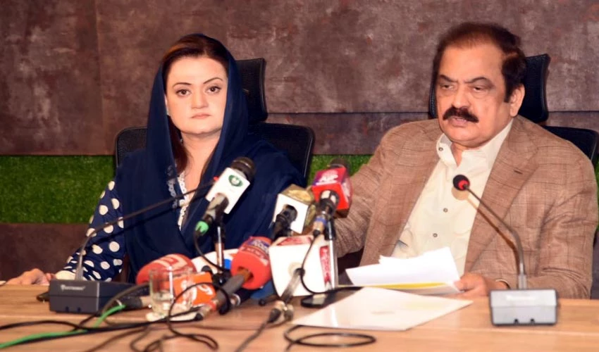 PTI behind negative campaign on social media, says Rana Sanaullah