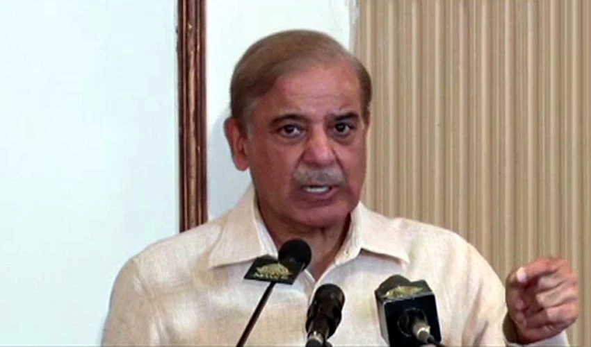 PM Shehbaz Sharif announces waiver of fuel adjustment charges up to 300 units