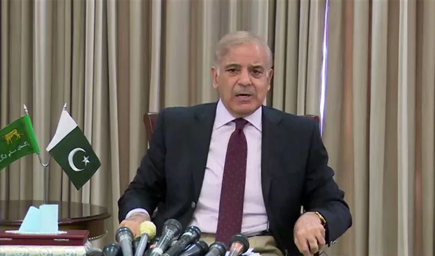 PM Shehbaz Sharif condemns Imran Khan's statement